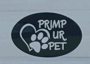 The Primp Ur Pet logo oval on the white cab door