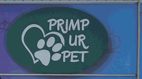 The Primp Ur Pet logo on the van: a heart and paw print on a dark green oval