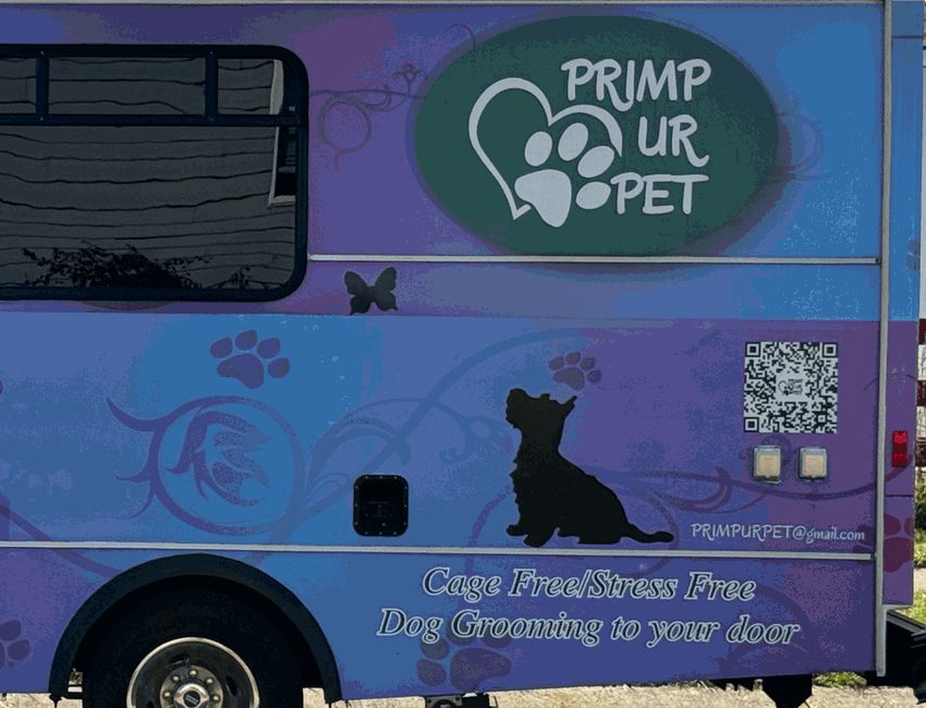 The side of the van: window, green logo oval and the Scottie silhouette